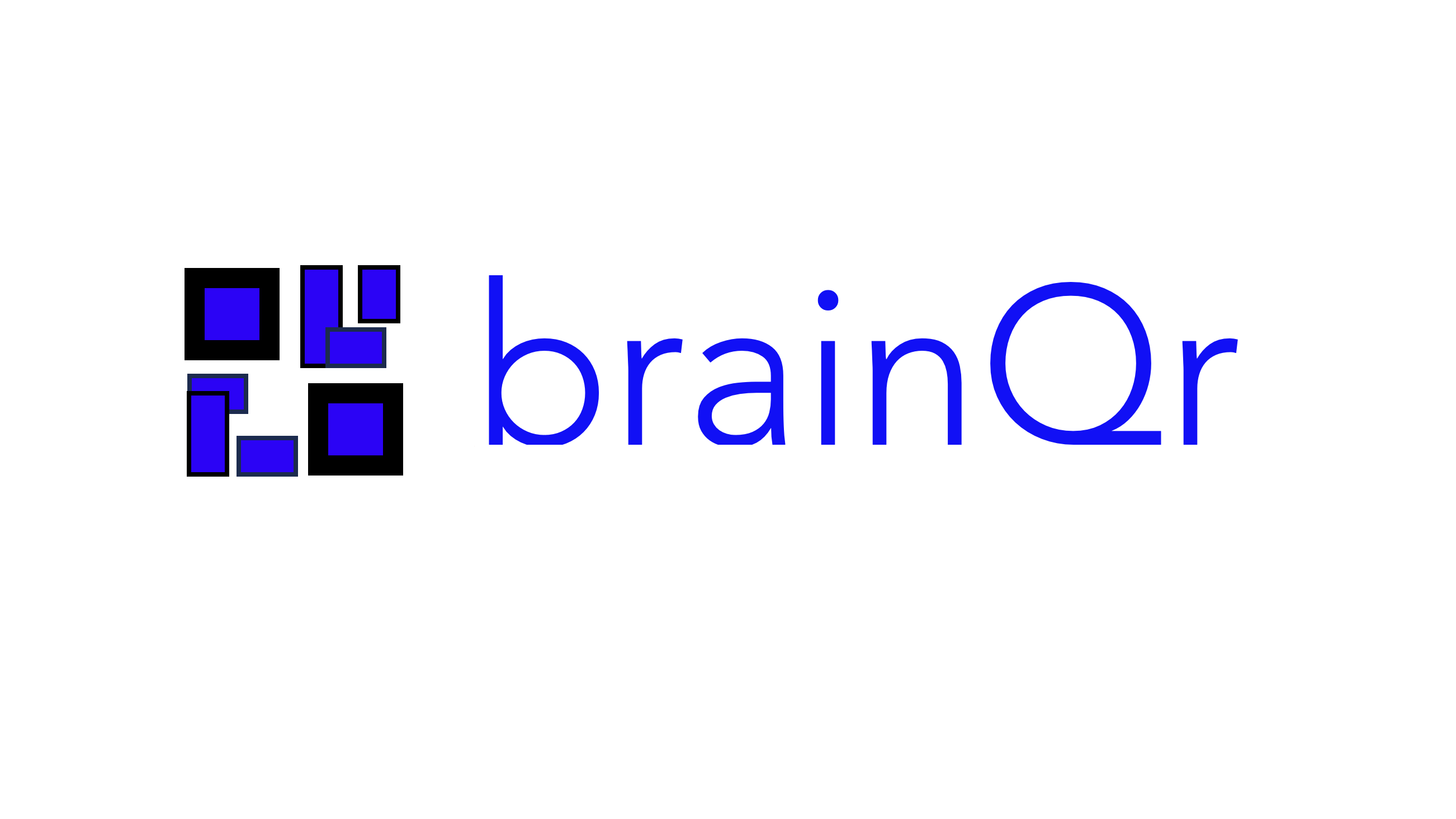 brainQr Logo